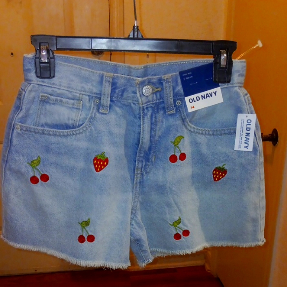 Old Navy Light Blue Embroidered Women's Shorts
